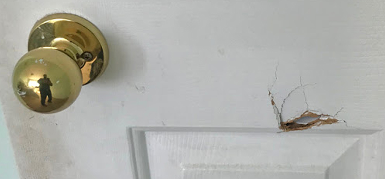 interior door hole repair Alum Rock