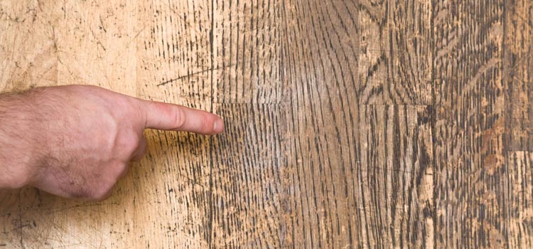 Wood Door Scratch Repair in Alum Rock